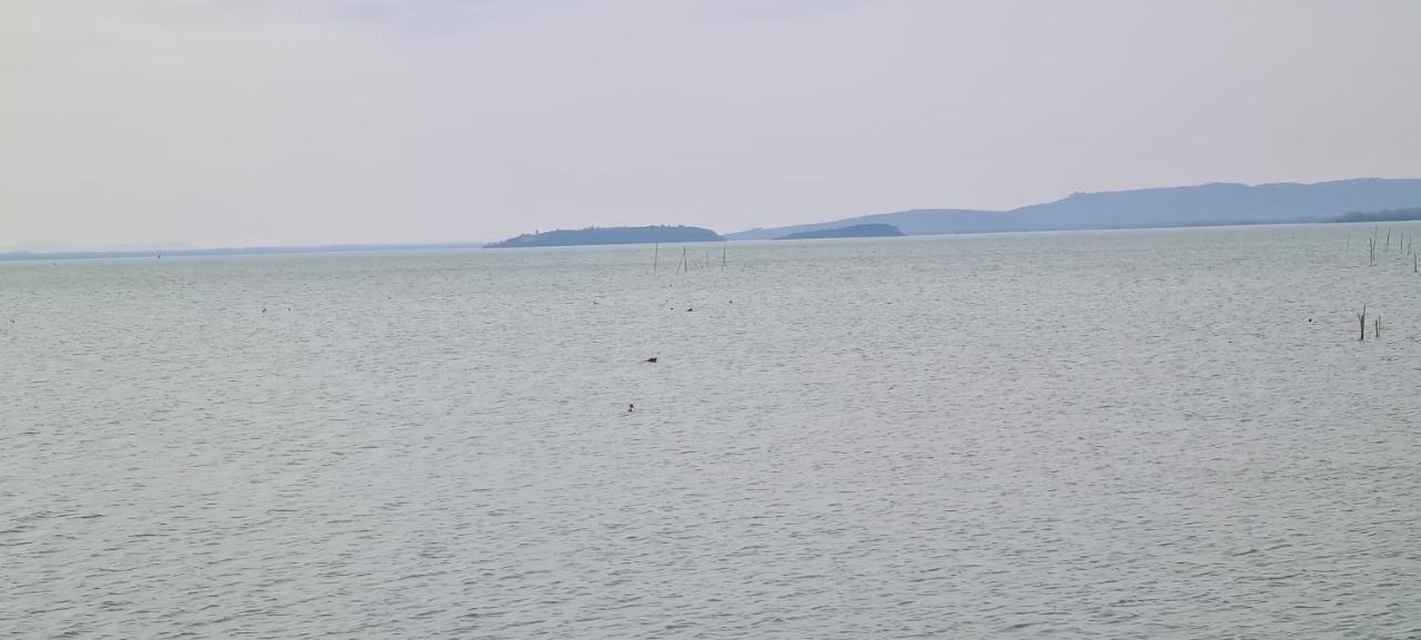 Appartamento Lago Trasimeno - Torricella Pg מראה חיצוני תמונה